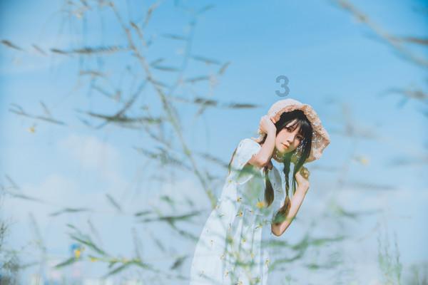 室外寒风凛冽 室内油菜花开